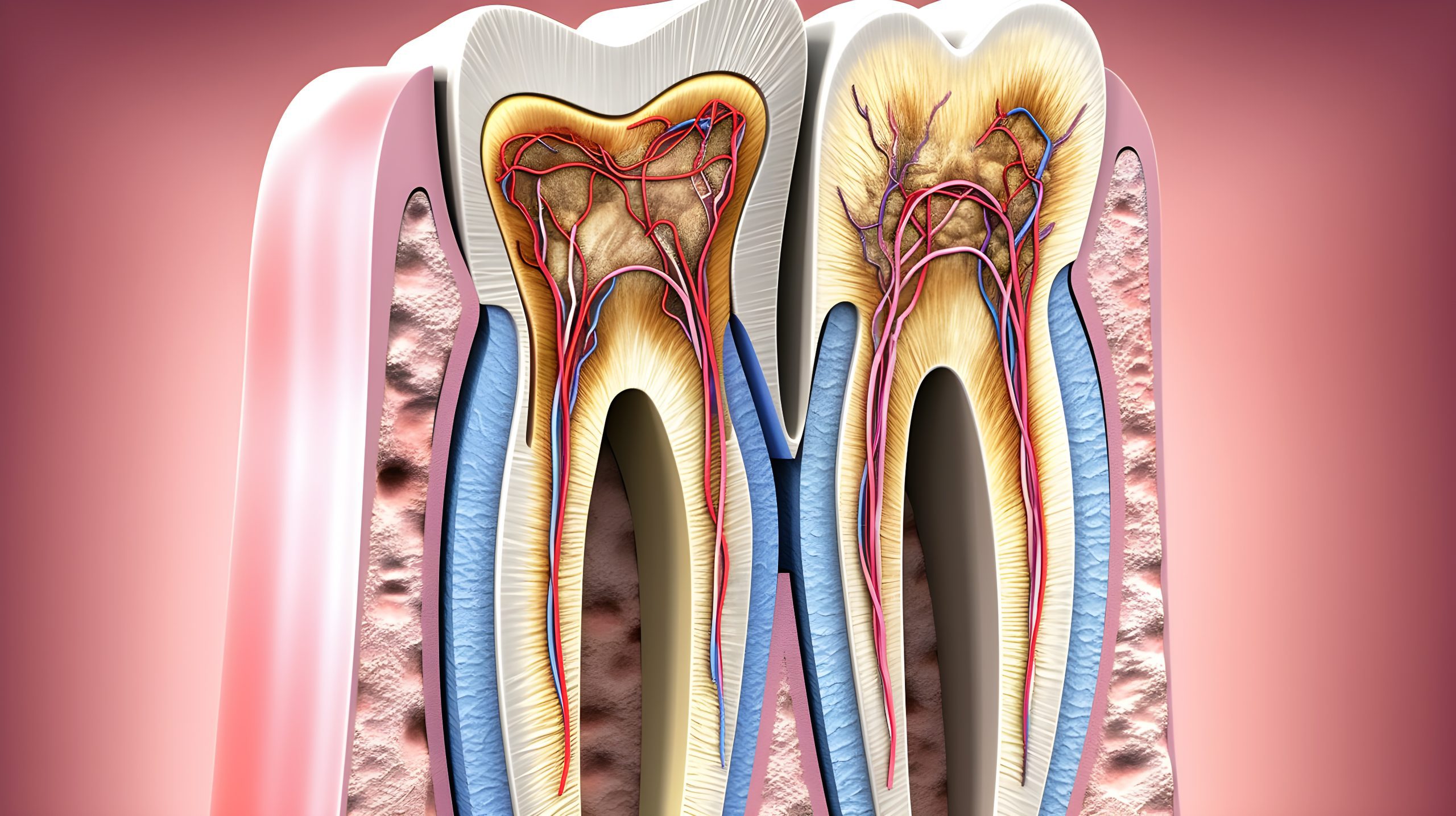 How Long Does A Root Canal Last? Best Dental