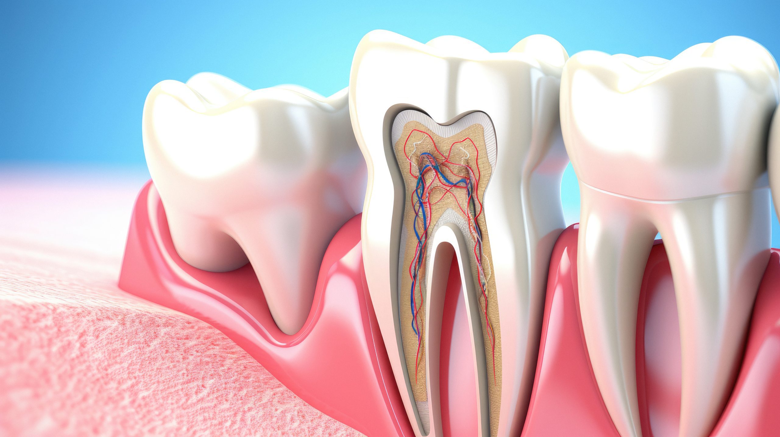 Dental Fillings VS Root Canals Best Dental