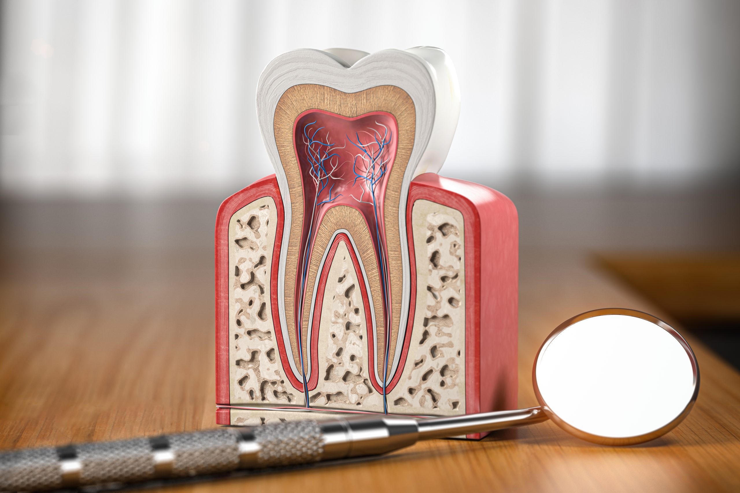 Reducing Root Canal Costs | Best Dental